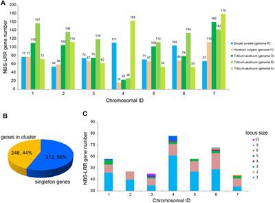 Genome-wide Identification and Evolutionary Analysis of NBS-LRR Genes From Secale cereale